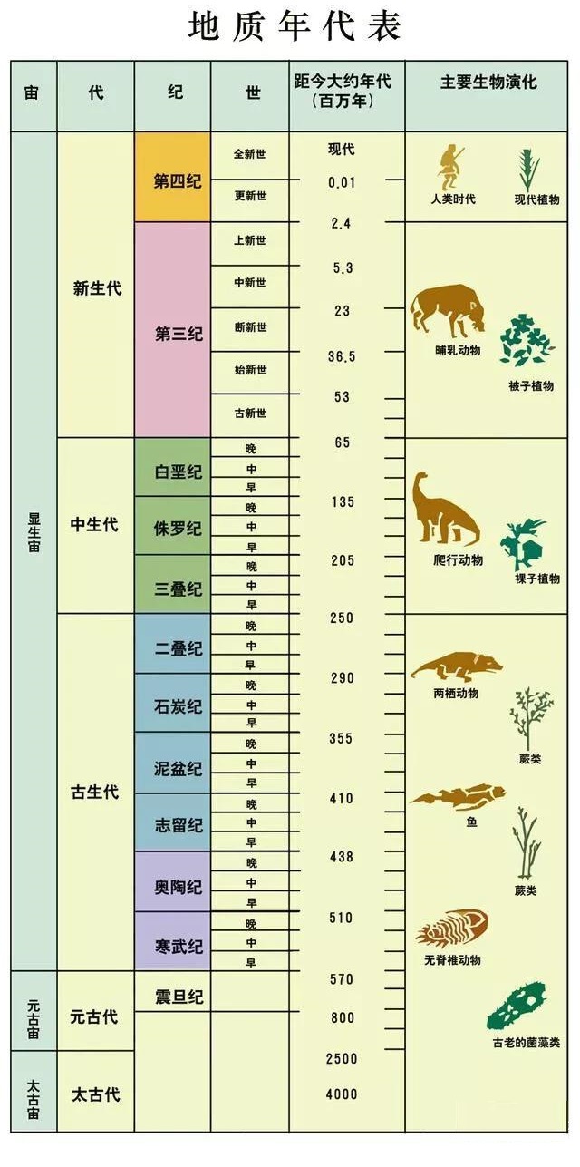 墨西哥展示外星人尸体,墨西哥公布外星人尸体