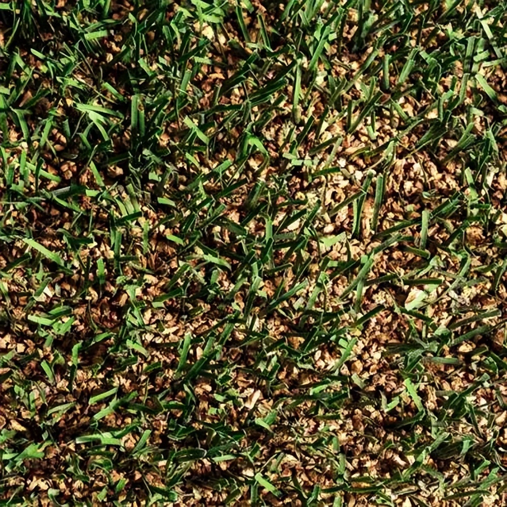 草坪养护改善土质,草坪养护中的施肥管理