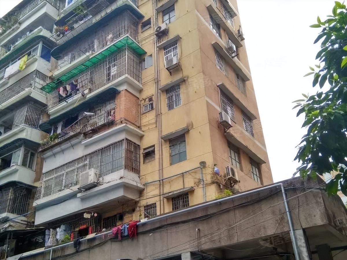 粤剧、醒狮、武术、科技……TA有39个宝藏社团？