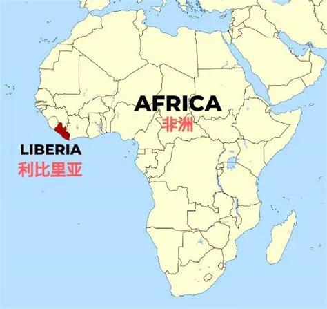 利比里亚前总统多伊怎么被处死的,被宫刑的利比里亚前总统多伊