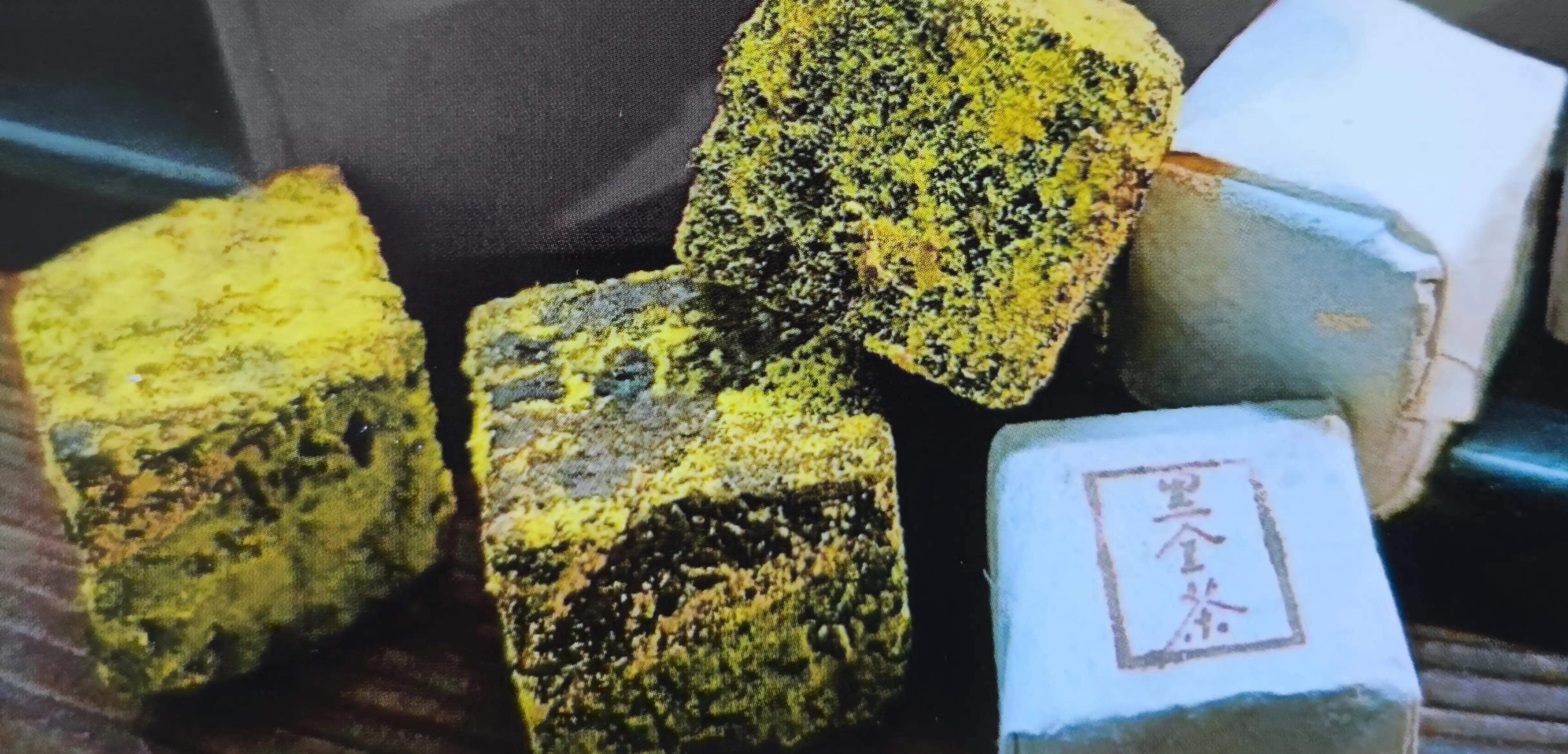 “汉茶尊”黑金茶安神入眠改变了人们夜晚喝茶影响睡眠的千古习俗