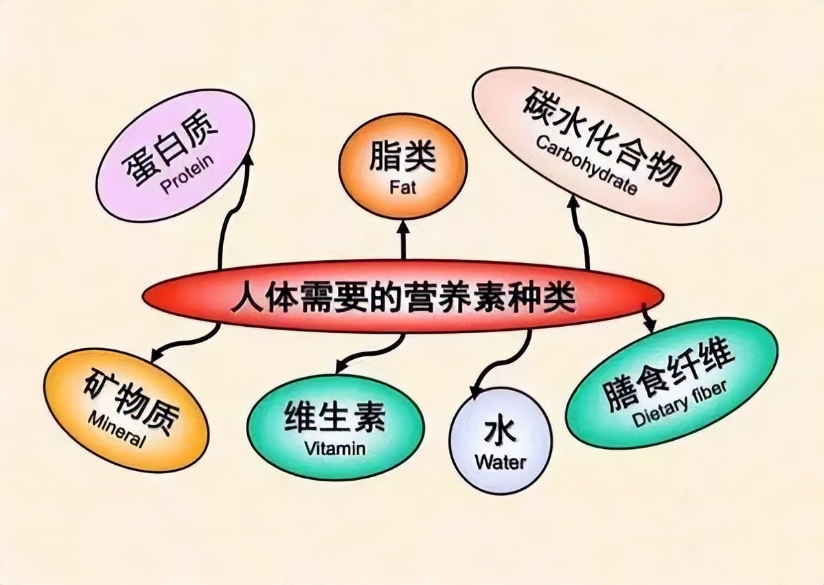 久坐便秘一招解决,便秘就没有办法根治了吗
