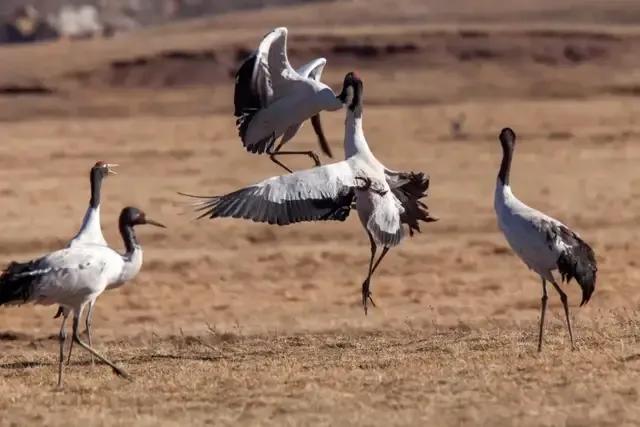 马上放暑假了，打算去哪里玩：昭通大山包