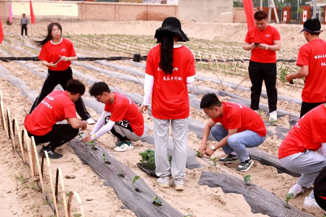 银川科技学院2021征集志愿三次,银川科技学院2023年征集志愿