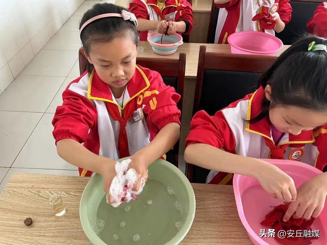 劳动最光荣红领巾在行动,劳动最光荣的少先队活动课