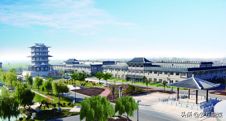 安丘景芝最好的酒是什么,安丘景芝一品原浆