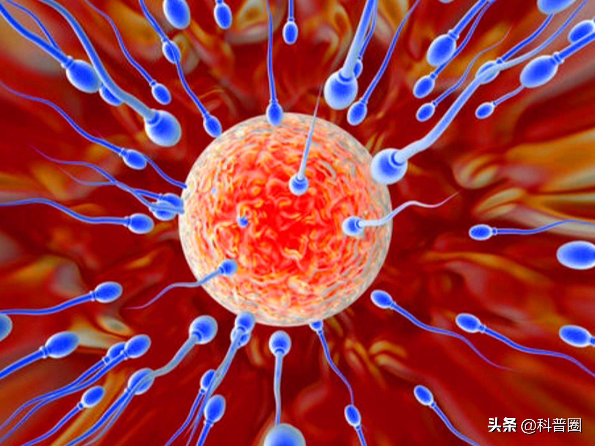 科学家精子运动违背牛顿第三定律,科学家发现精子的作用