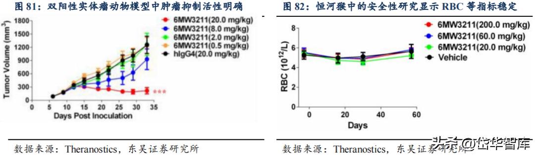 有效避开内卷，迈威生物：ADC锋芒初显，快速成长的Biopharma