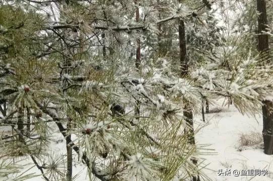 明天农历九月初十，你知道是什么日子吗？老祖宗留下的谚语怎么说