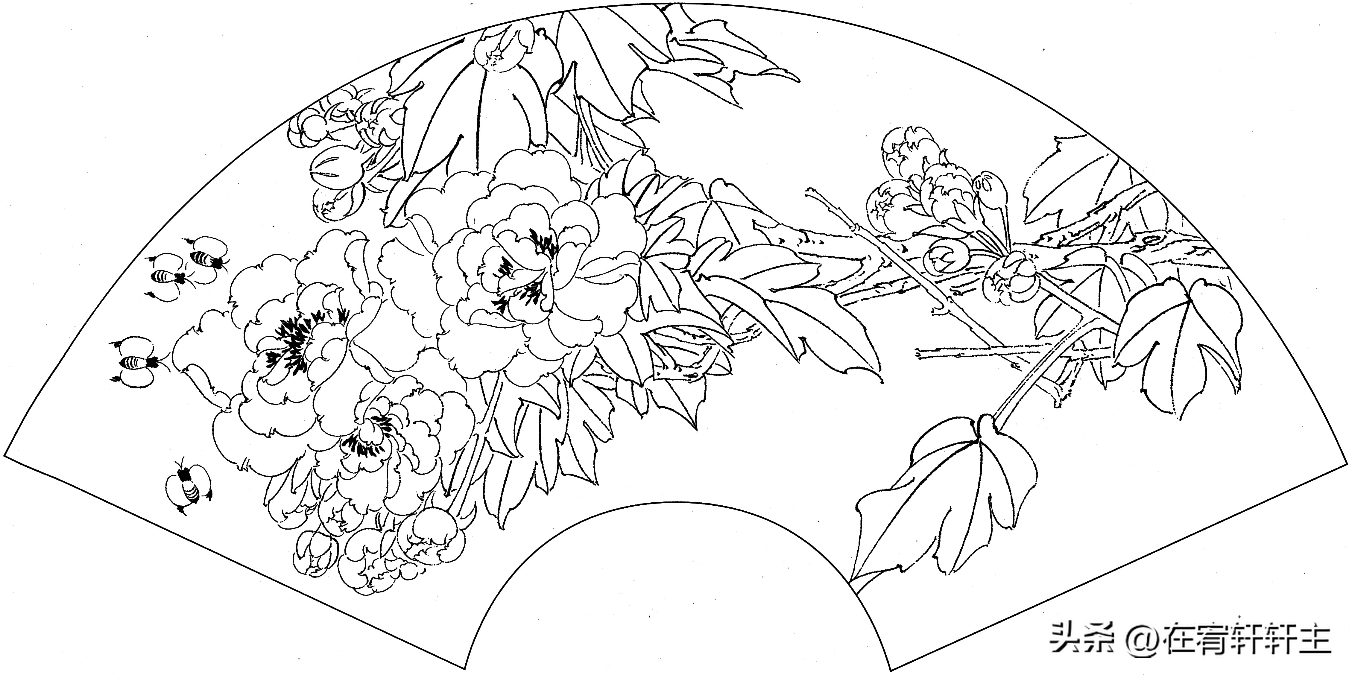 工笔白描祥云图案扇面,工笔扇面葡萄白描图片