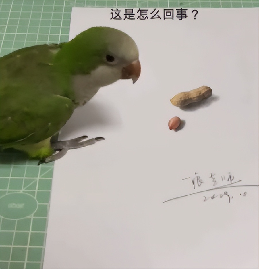 3D绘画牛人多厉害?画出真假难辨的“立体美女”,震惊500万网友