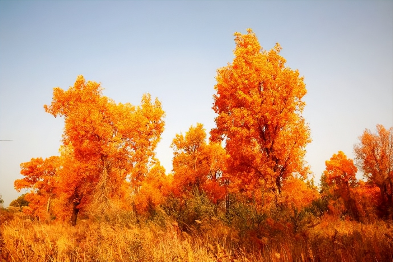 环游新疆15天,环游南疆8天攻略