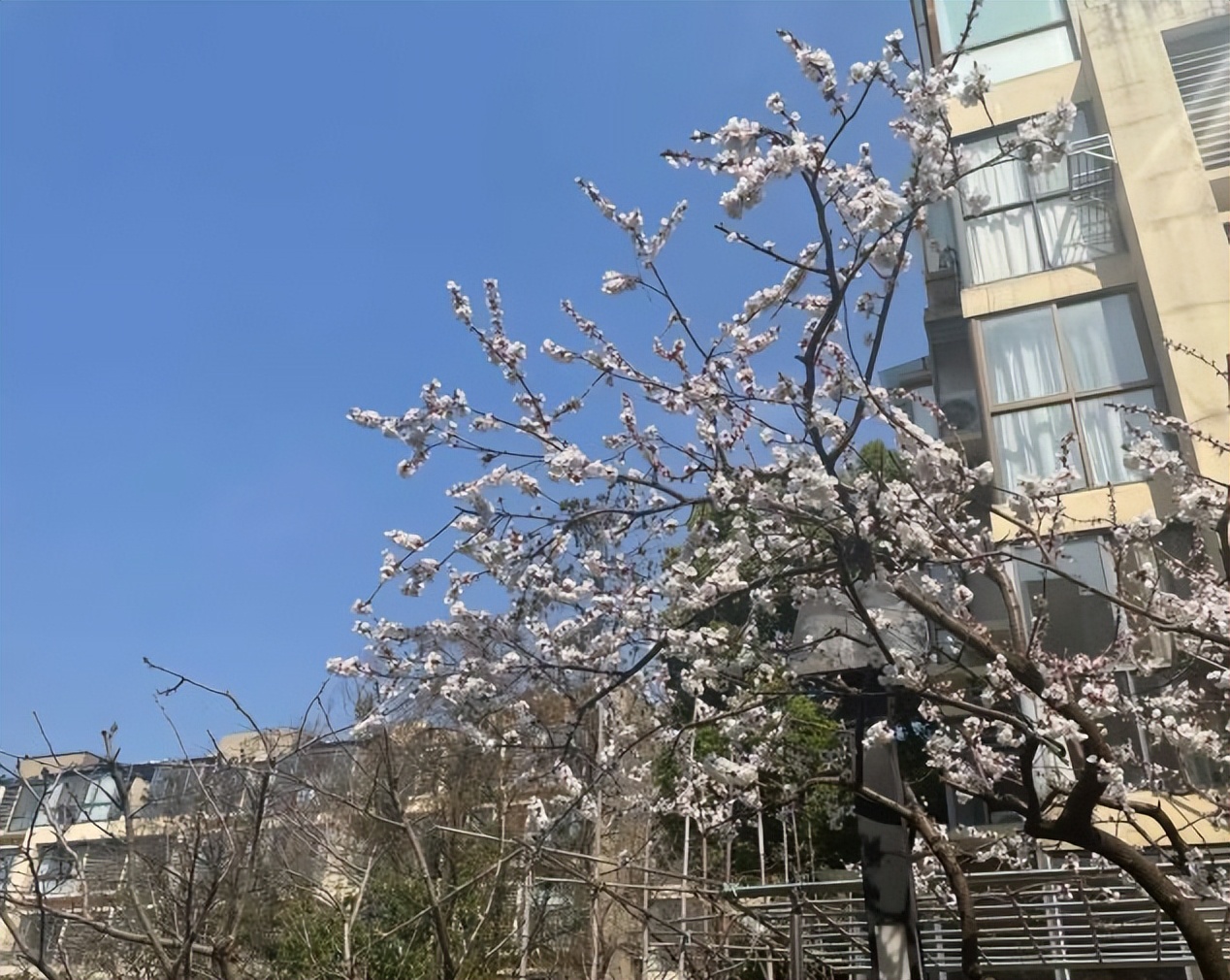 应届生报名公考,怎么备考2024的国考