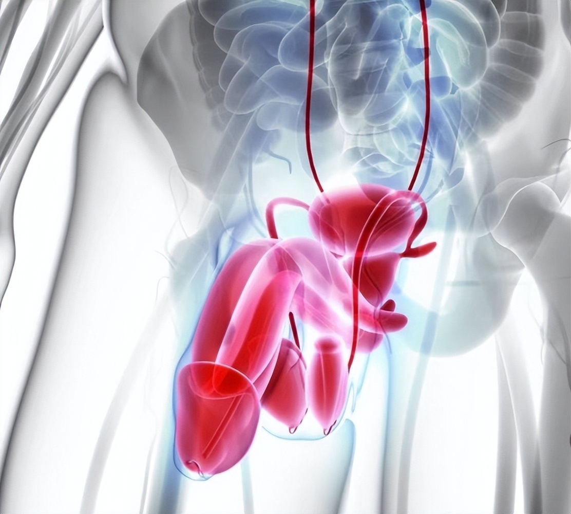 西地那非对治疗前列腺肥大有用吗,西地那非治疗前列腺怎么服用