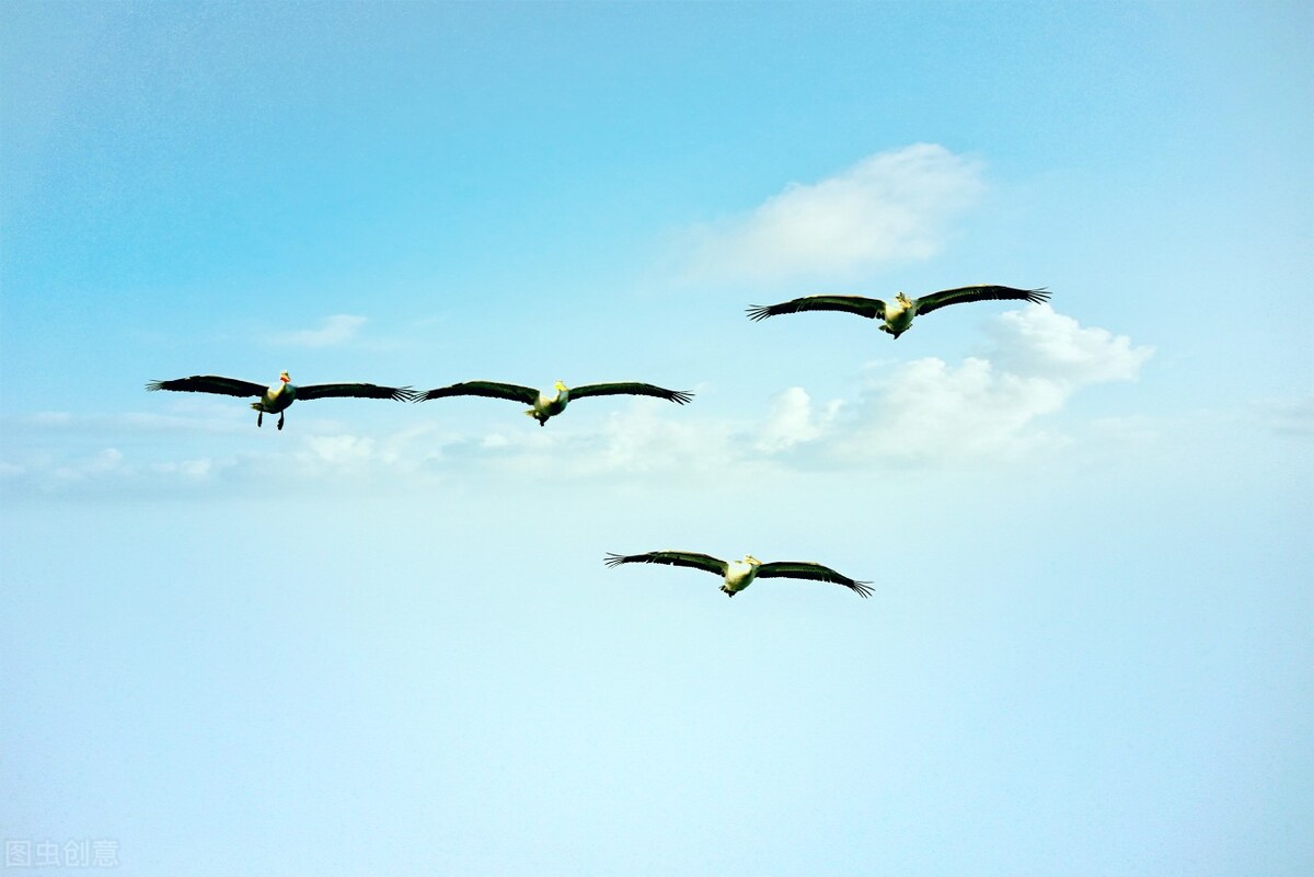 鎶樼焊娈¤懍鍚勭鍏冨疂,鐢ㄦ姌绾稿彔妫烘潗鍜岄鐏扮洅