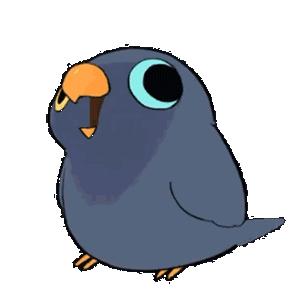 可爱的鹦鹉摇头的原视频,可爱摇头鹦鹉视频