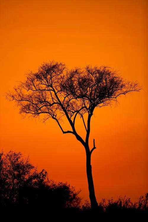 散文人到中年才明白活着有多不易,中年人生活感悟美文摘抄