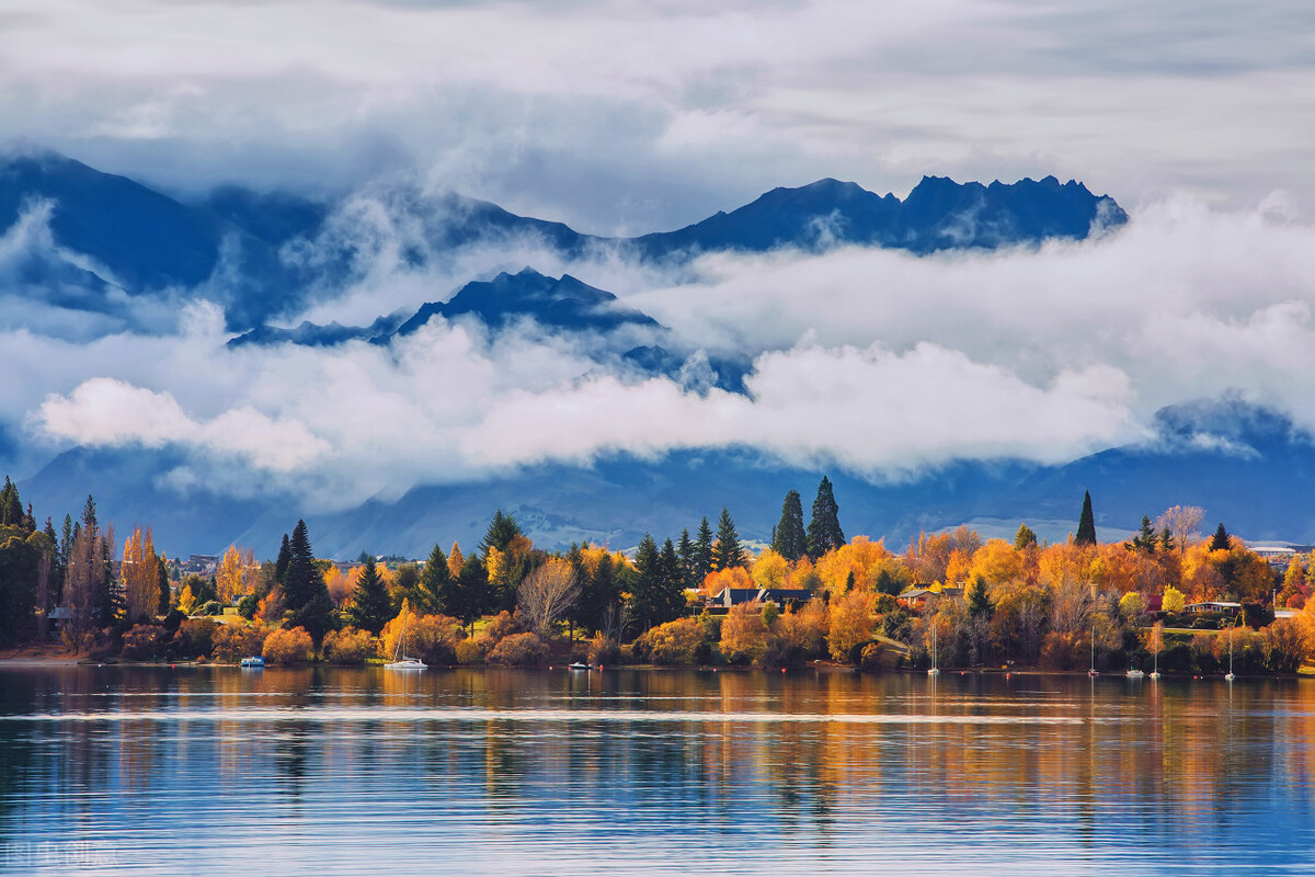 沧龙骨头,苍龙骨炼成妖瓶