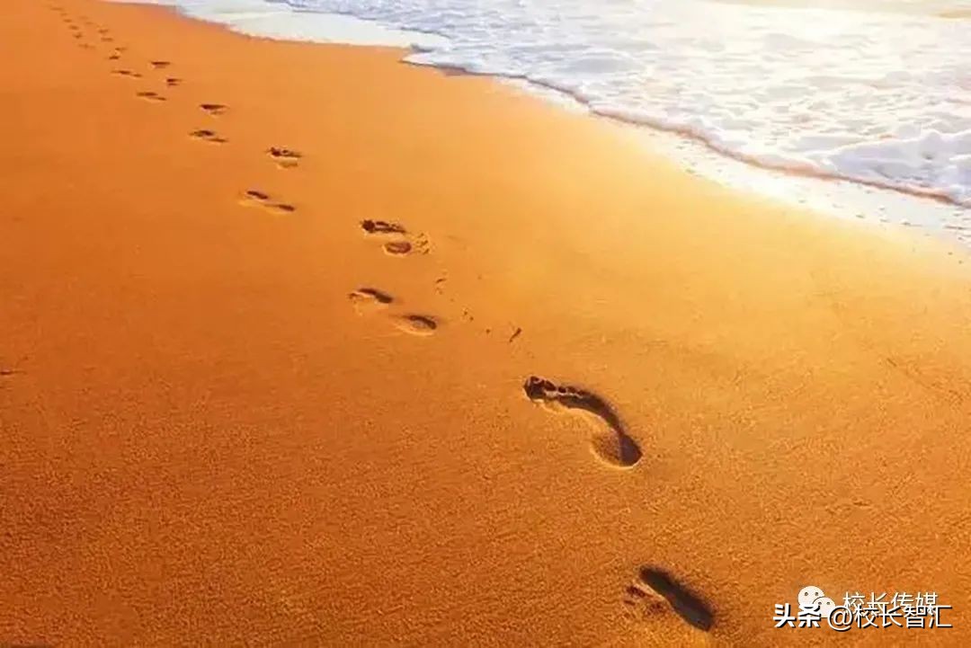 淡泊名利和澹泊名利的区别,沧海与世无争