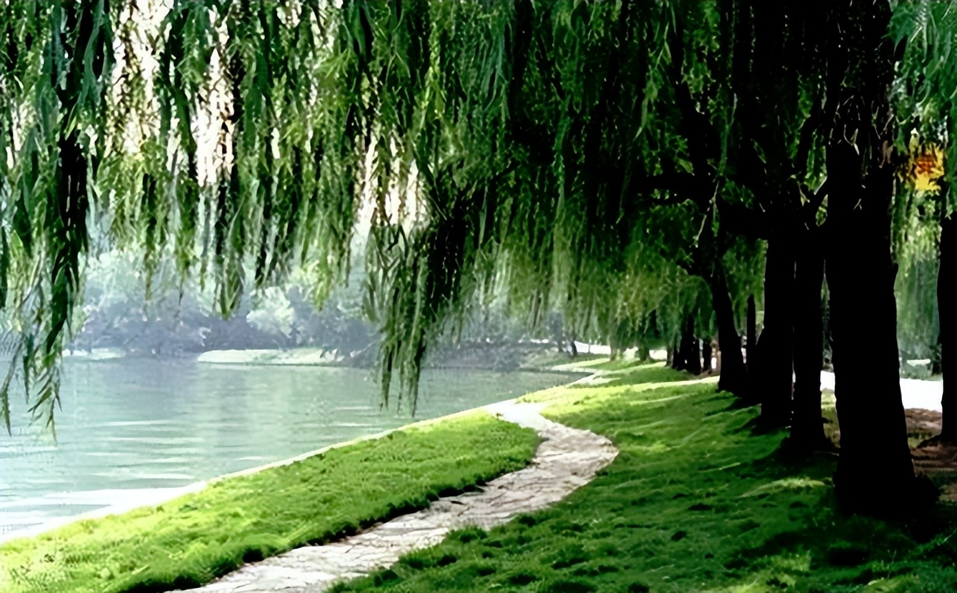 80岁老人肝癌晚期不吃不喝,80多岁老人得肝癌不做手术活多久