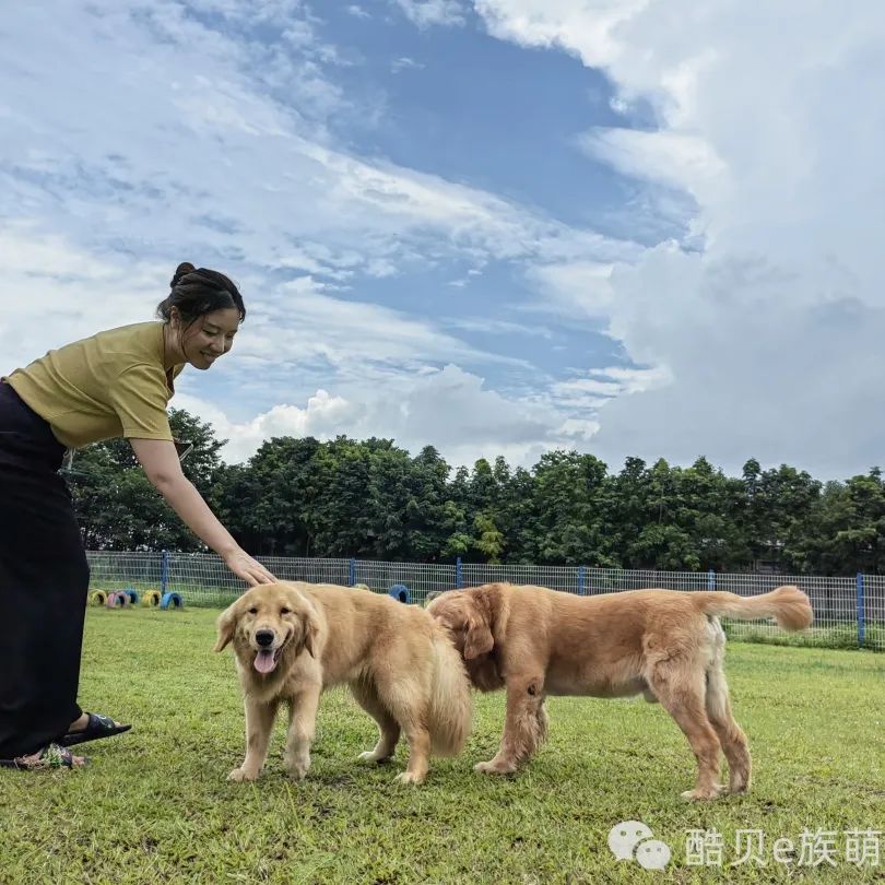 喜欢你混饭吃丨酷贝E族