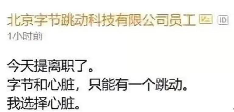 一个女程序员的辞职信,硬核女程序员的辞职信