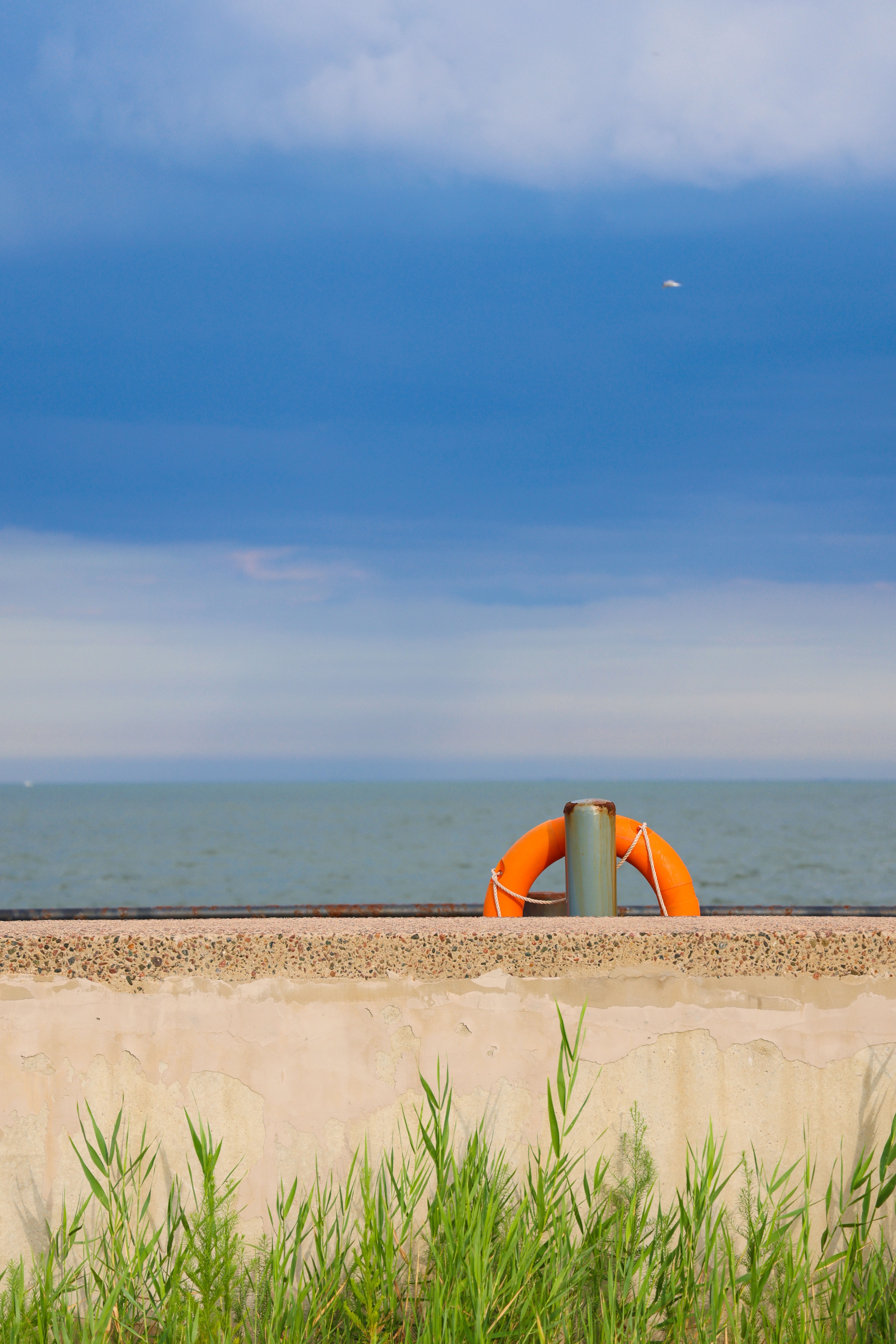 遛娃津南区公园,天津生态公园亲子游