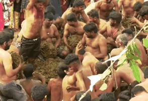 印度狂欢节,参加完活动有种空虚感