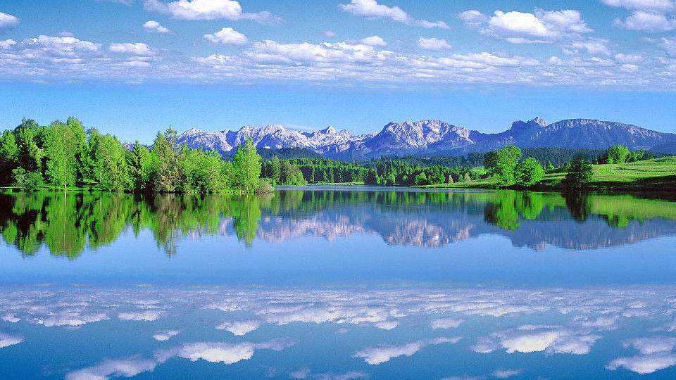 云南惊现罕见的“神仙鸟”，相传百年才出现一次，这有什么征兆？