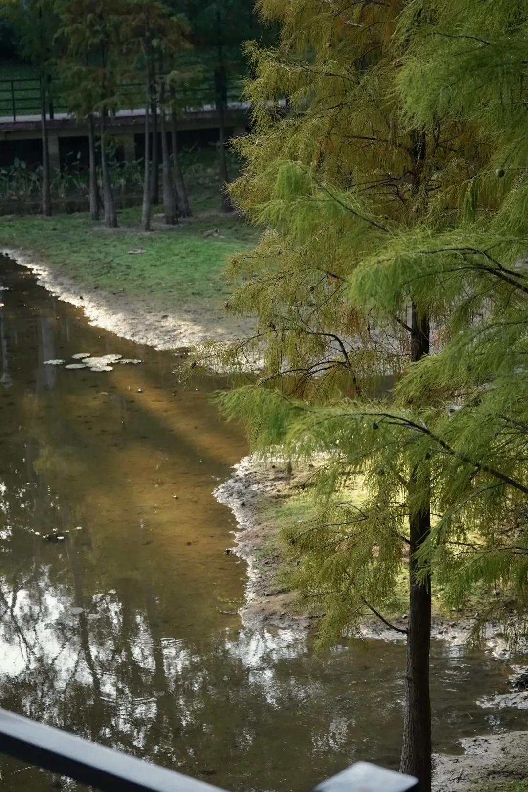 2021广州打卡必去的地方,广州必打卡的十个免费景点