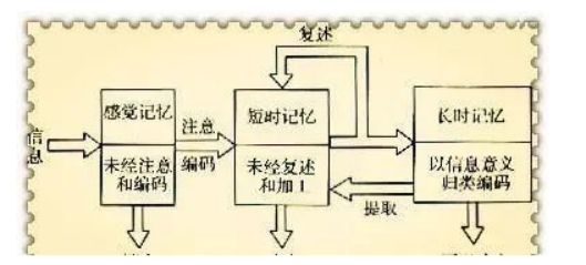 英语快速记忆法一天背1000个单词,7秒记忆100个单词