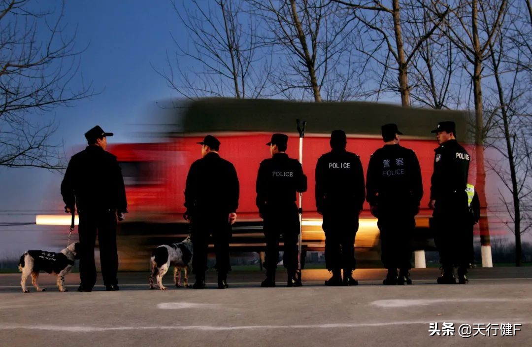 汽车投稿作品欣赏,汽车征文获奖