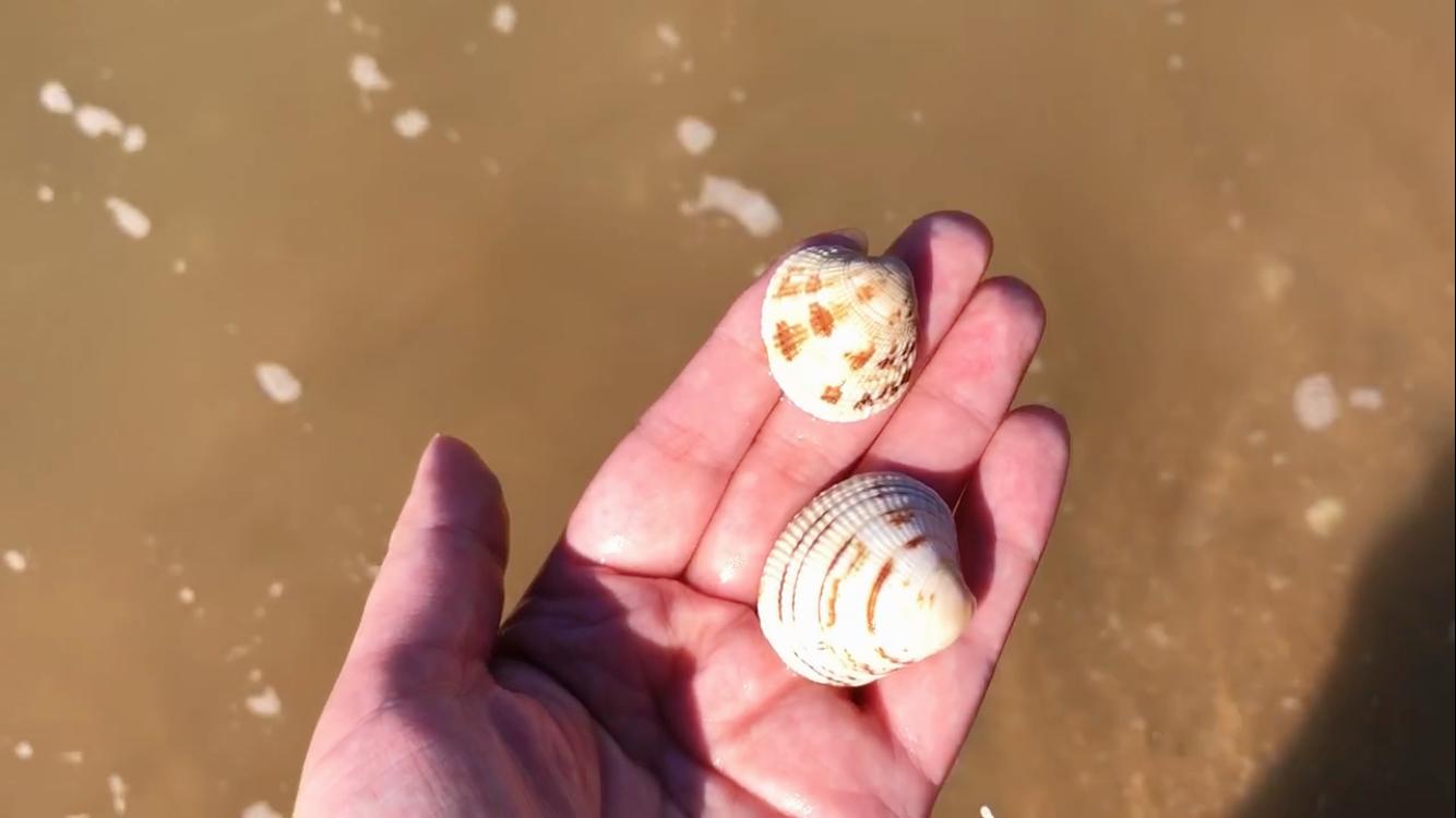 东戴河小众景区,东戴河小众旅游攻略