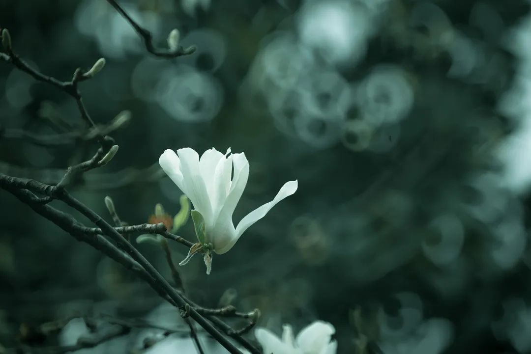 相机滤镜uv效果,相机使用uv滤镜