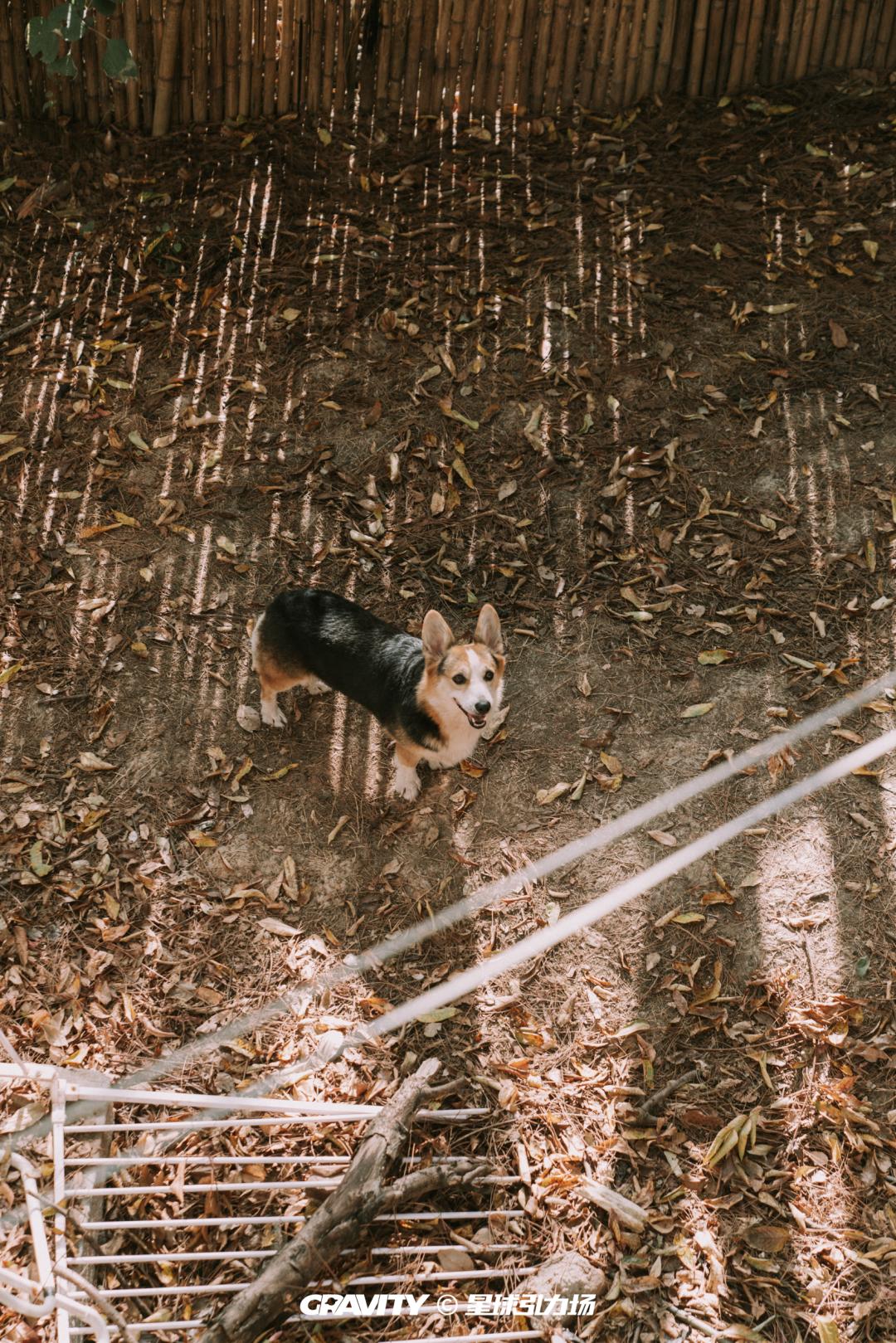 多面天心，常逛常新