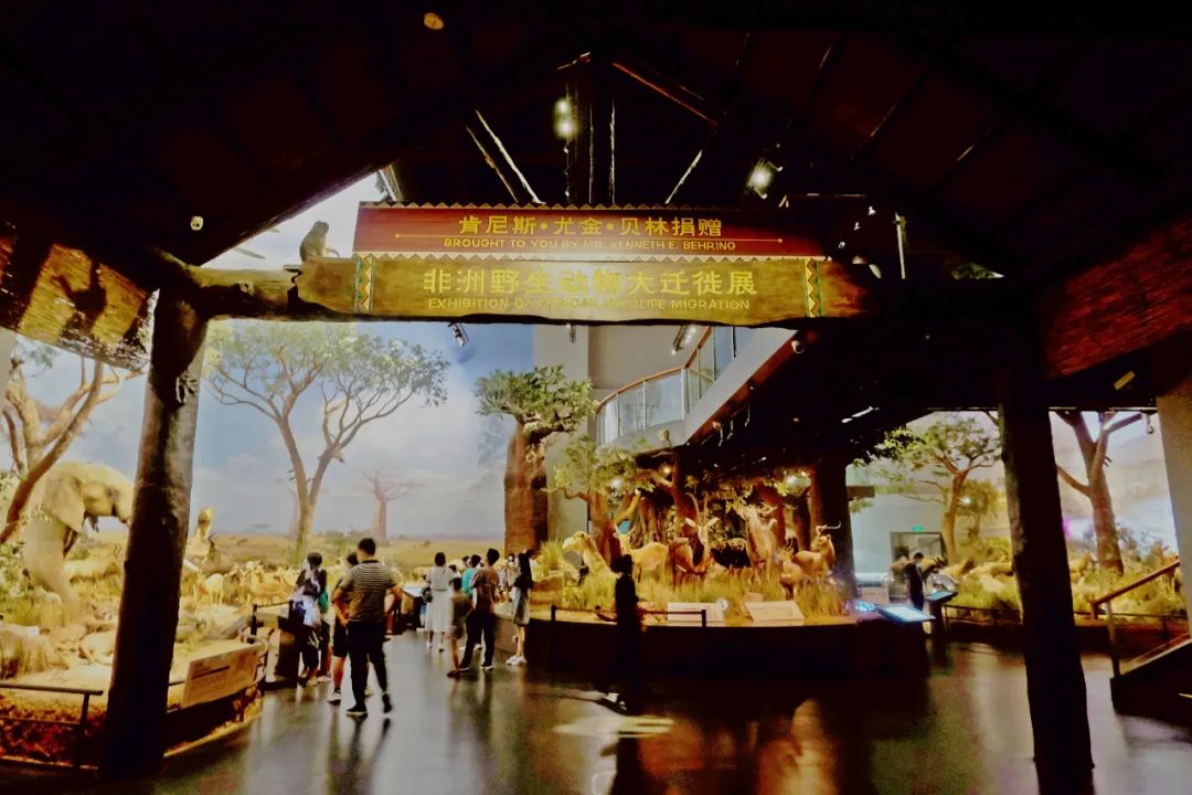 济南免费存放行李地方,存放物品济南