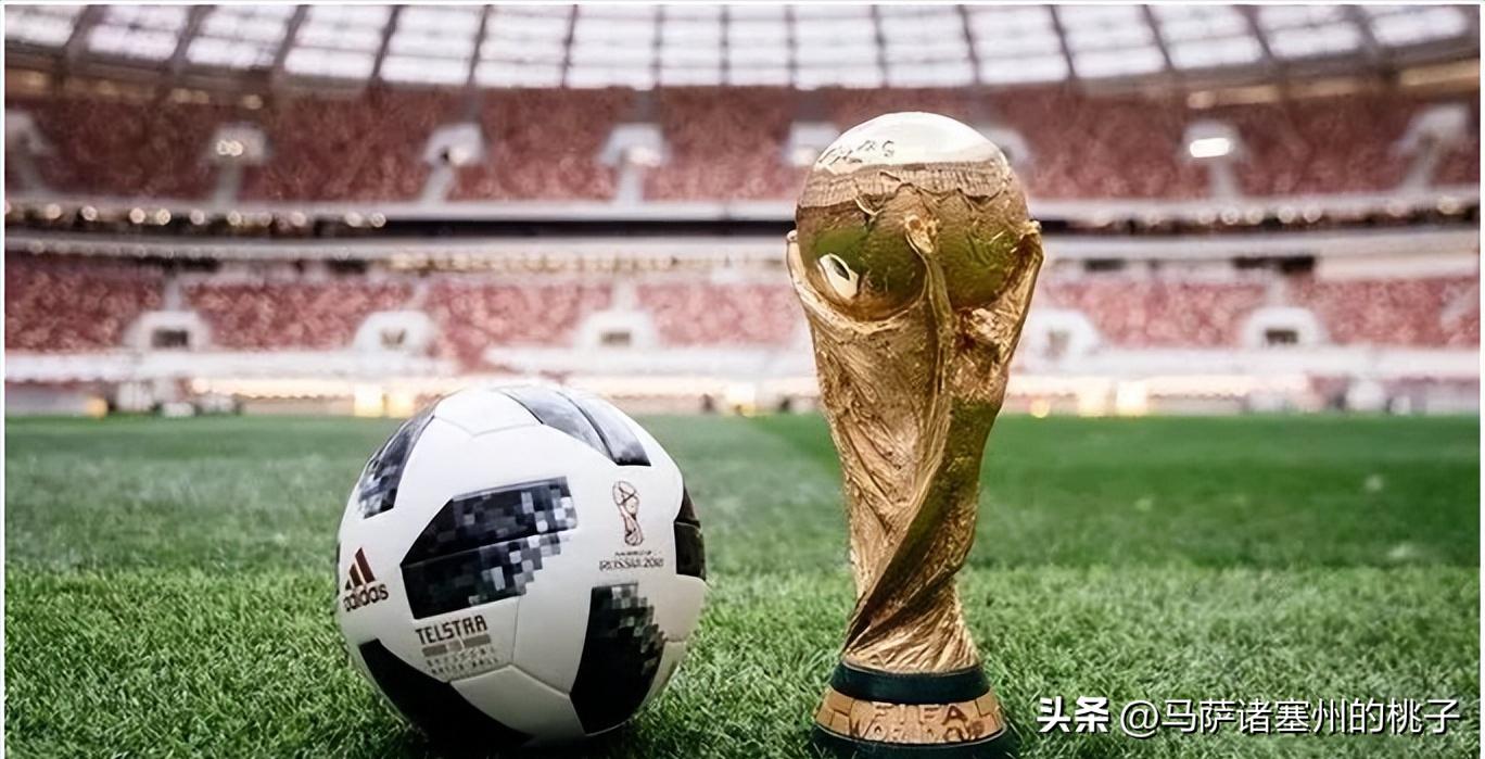 世界杯巡礼合集瑞士,历届世界杯举办地在哪里