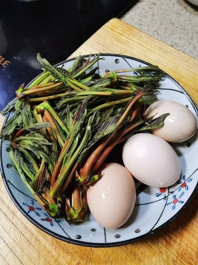 香椿怎么做可以在其他季节吃,凉拌香椿又到了吃香椿的季节