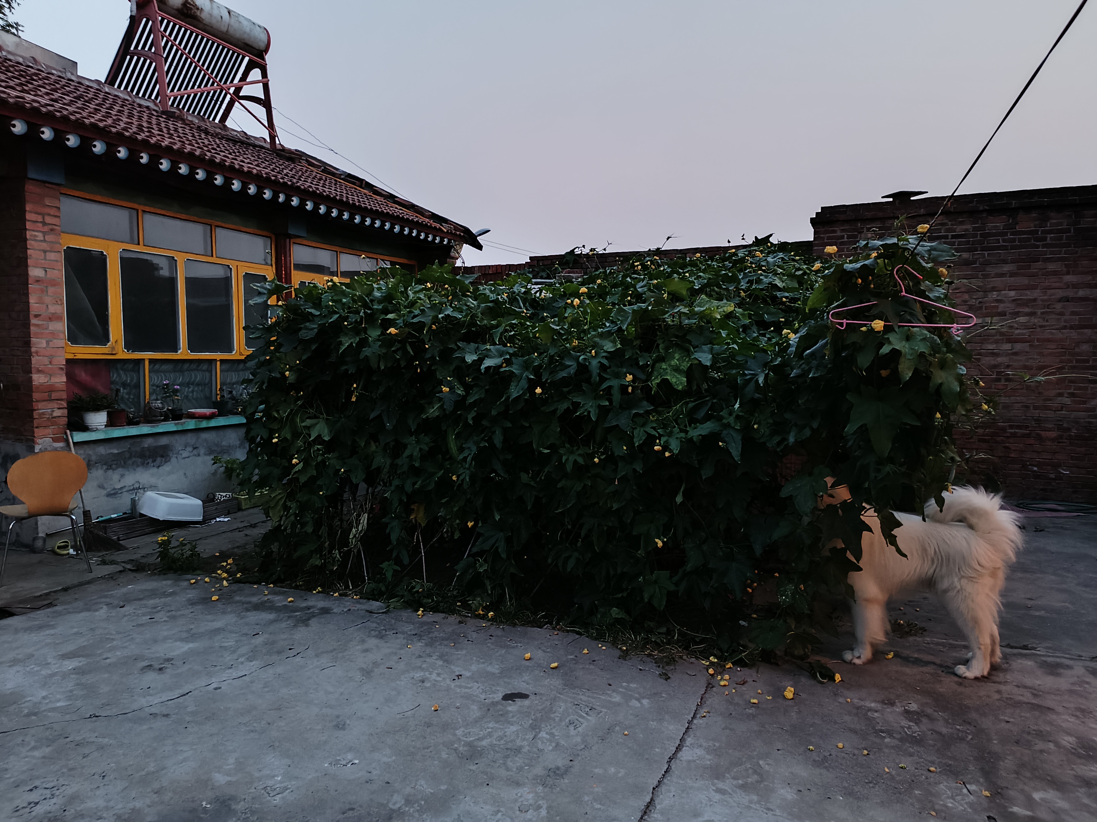 46岁前总经理找工作：差点被骗买房、误入传销，黄了5份工作，“只想找份工作，没想这么不靠谱”