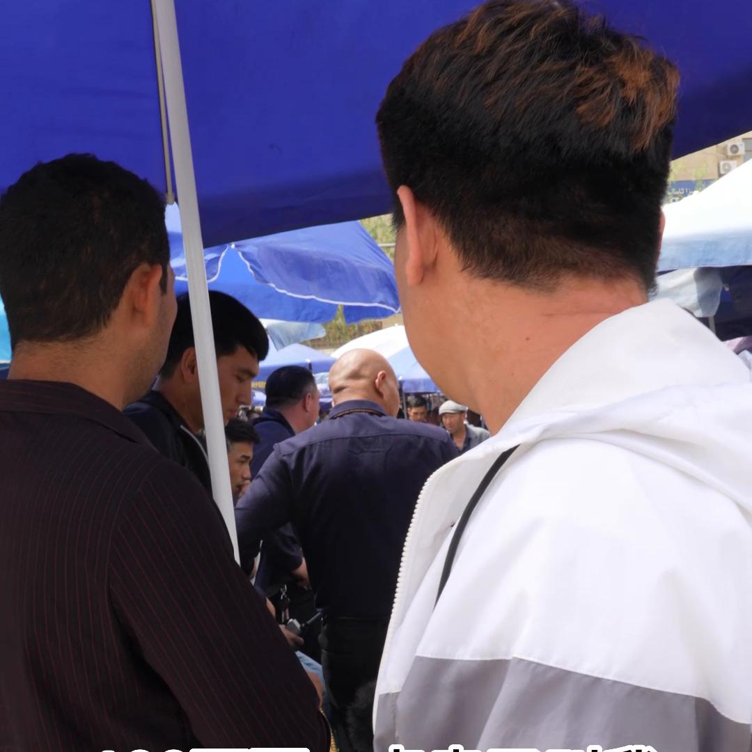 双面皮枣红皮籽料原石,双面红皮籽料