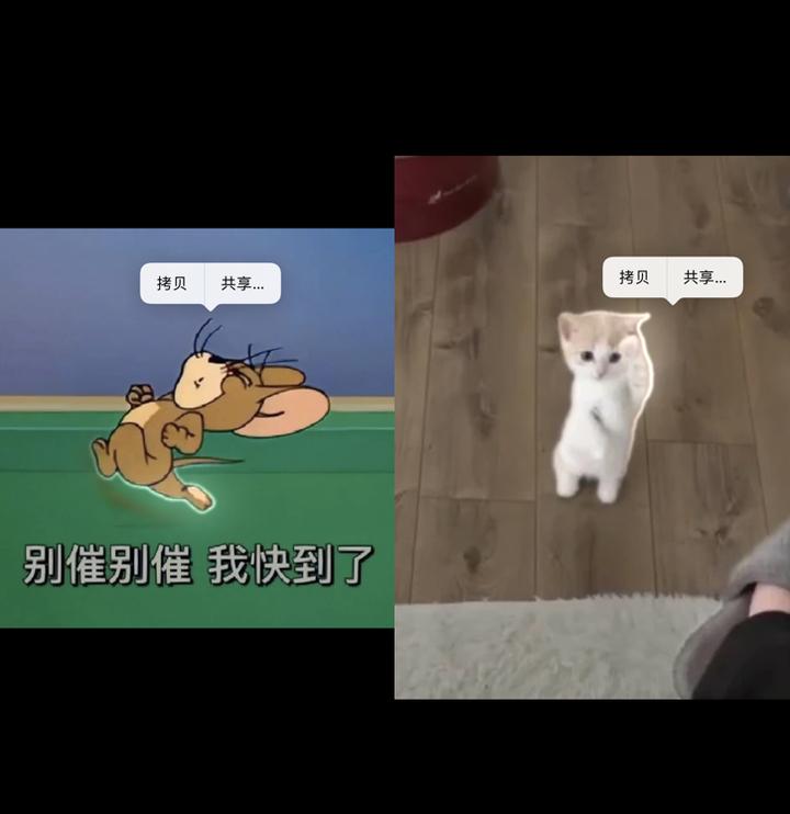 免费抠图抠字软件app排行,最好用免费抠图app下载