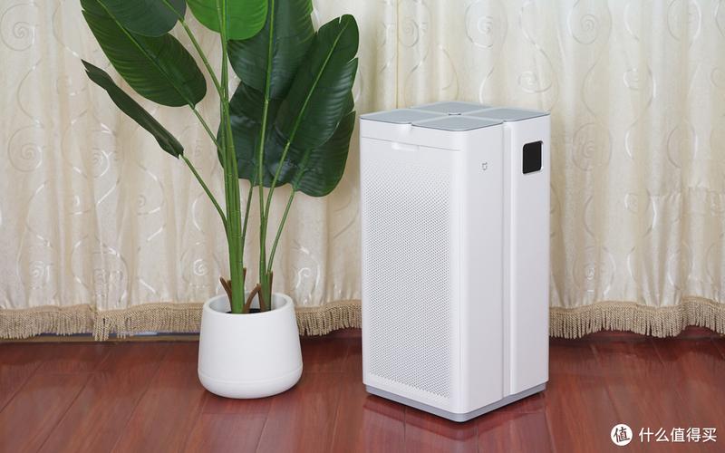 除甲醛最好最快的方法洋葱,洋葱除甲醛最有效的方法