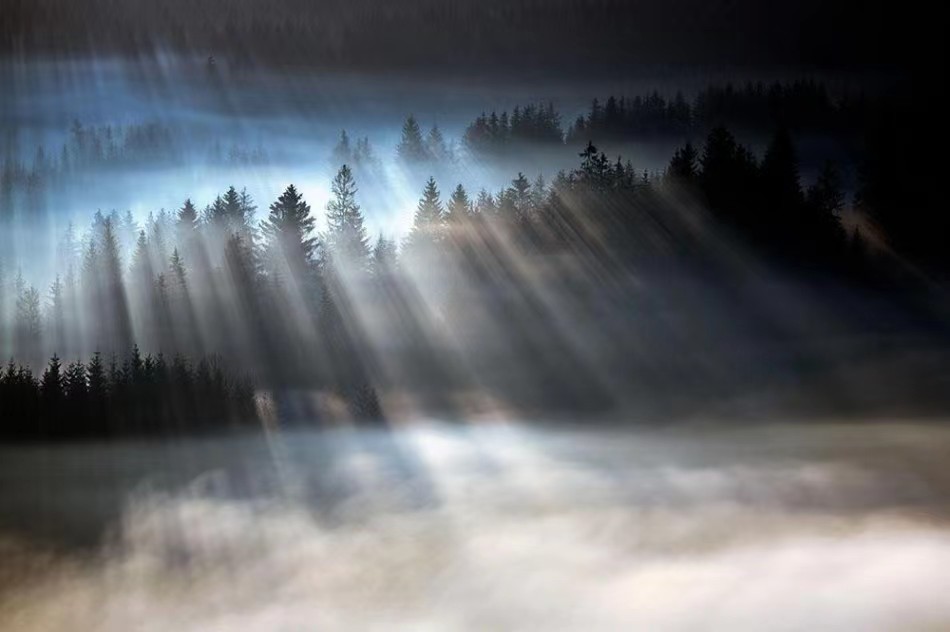 模糊才是世界真正的本源（大千老师讲课现场实录）