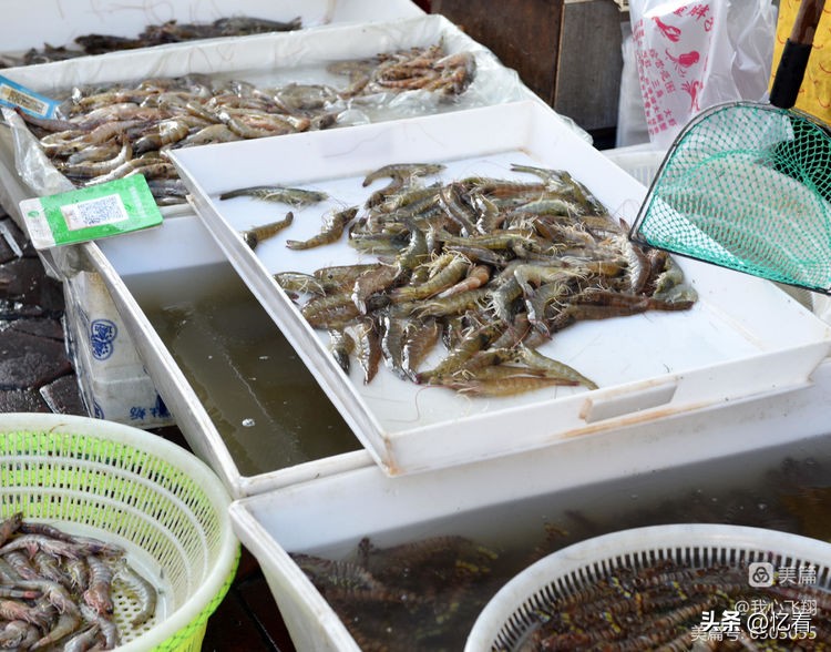 天津西关街老胡同大全,天津西关街美食糕点推荐