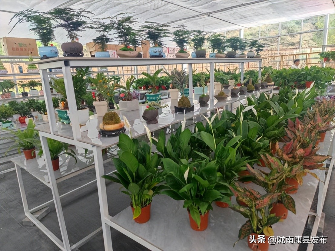 全市三抓三促十大举措,三抓三促推动党建走深走实