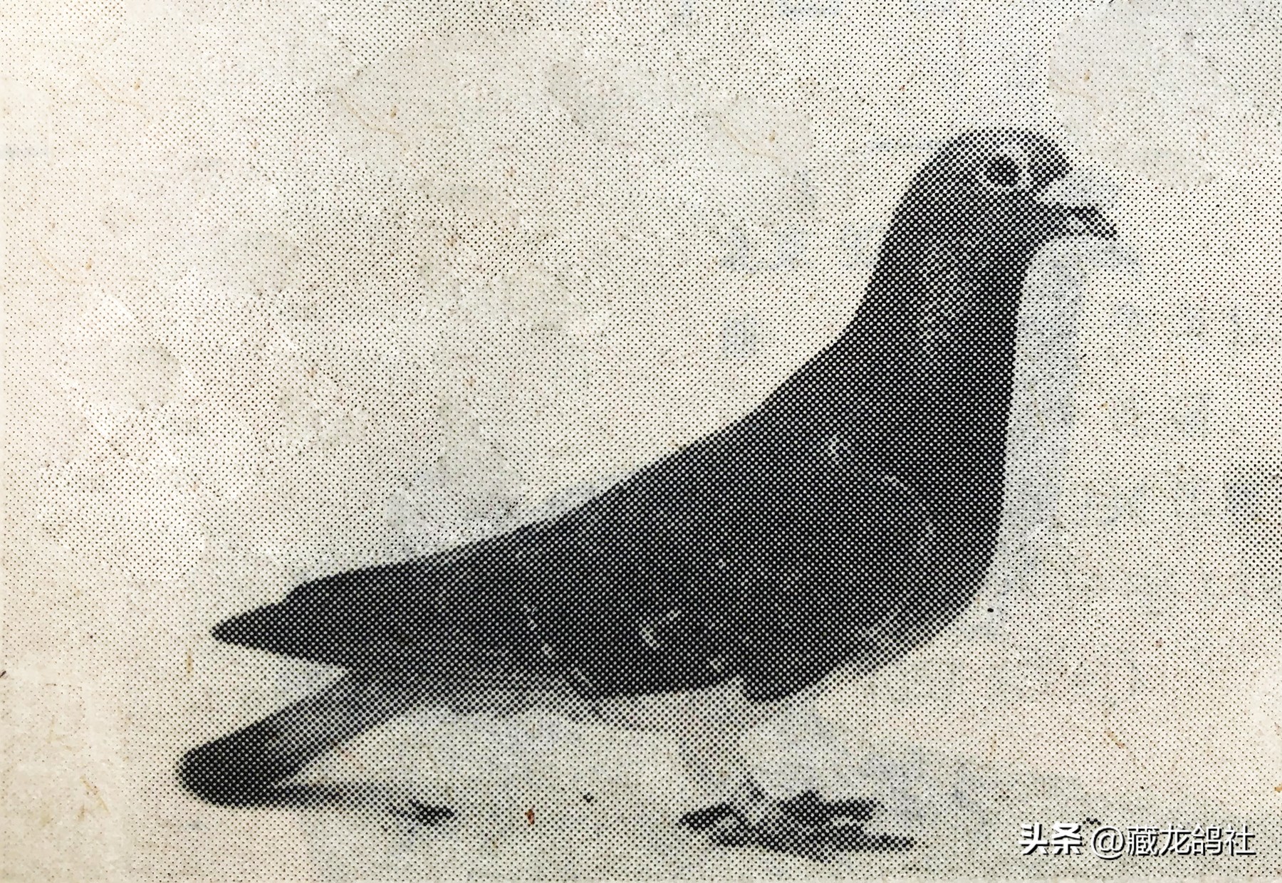 十年磨一剑研发海思芯片,十年磨一剑精心铸精品