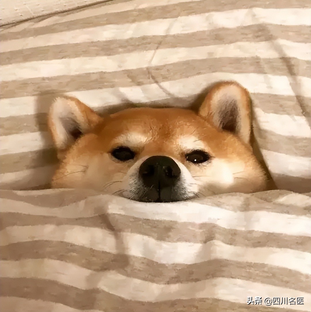 鬼压床的原因和解决方法,鬼压床的最佳解决方法