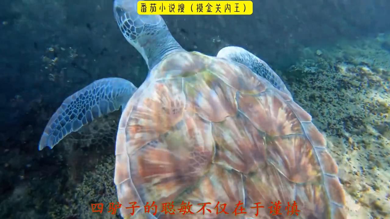 超爆小故事爱情,超爆小故事和校霸谈恋爱