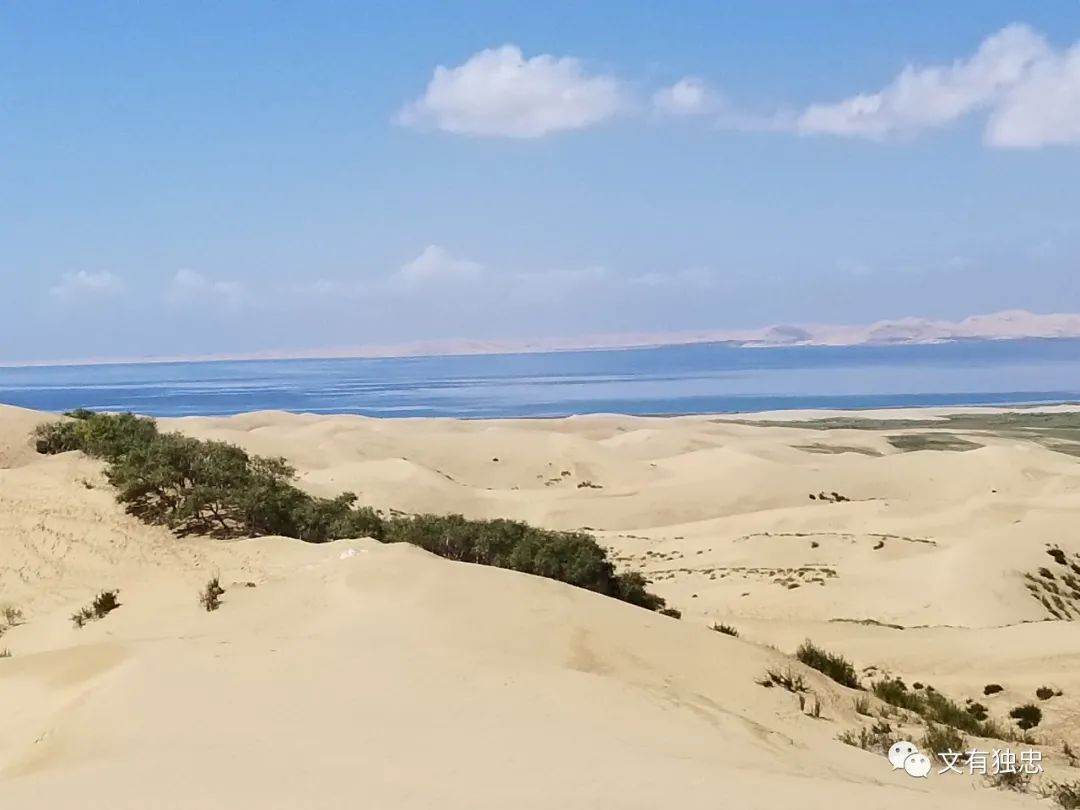 我们爱科学阅读,我们爱科学系列