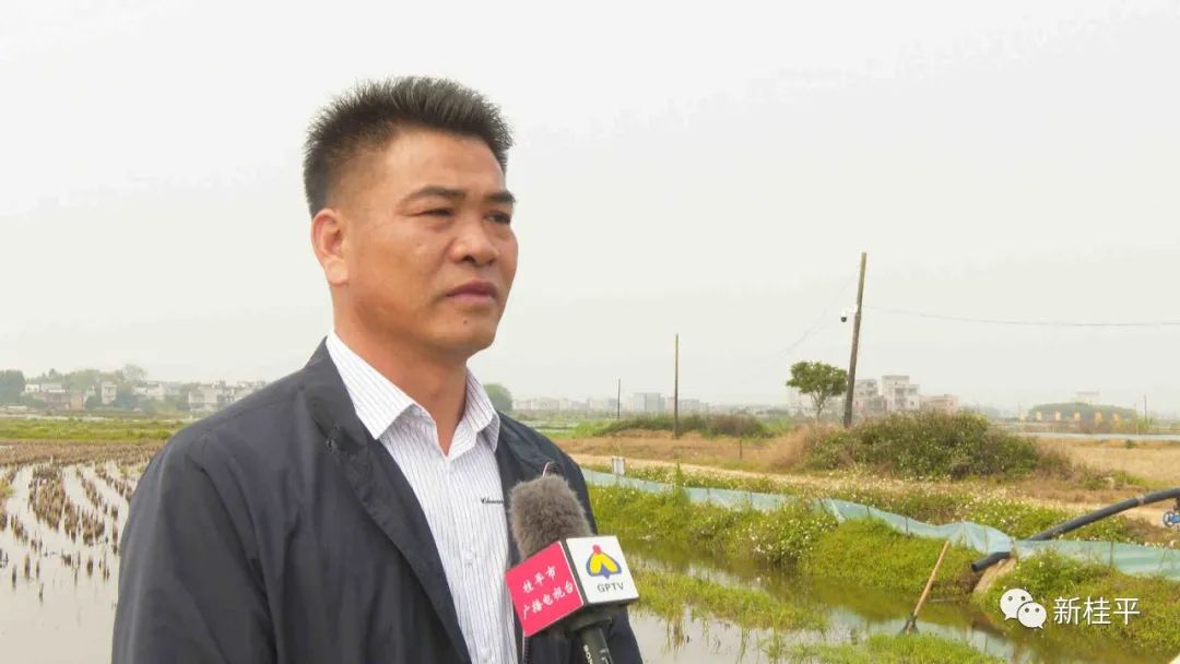 桂平：生态小龙虾错峰养殖助力乡村振兴